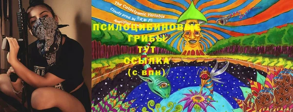 не бодяженный Алзамай